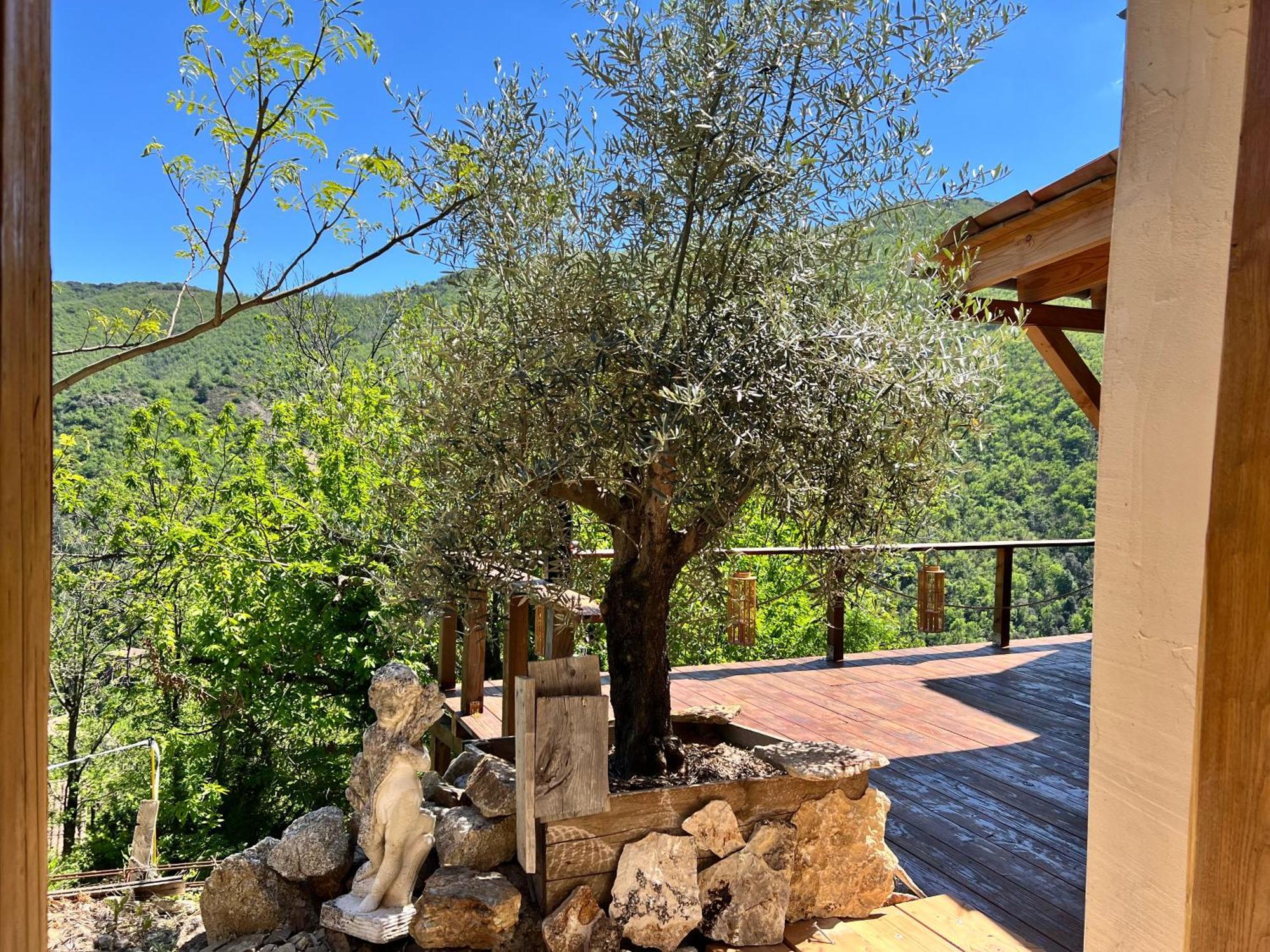 Les Magnels Bed & Breakfast Valleraugue Exterior photo